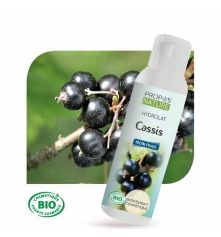 Hydrolat de cassis Bio 100 ML 